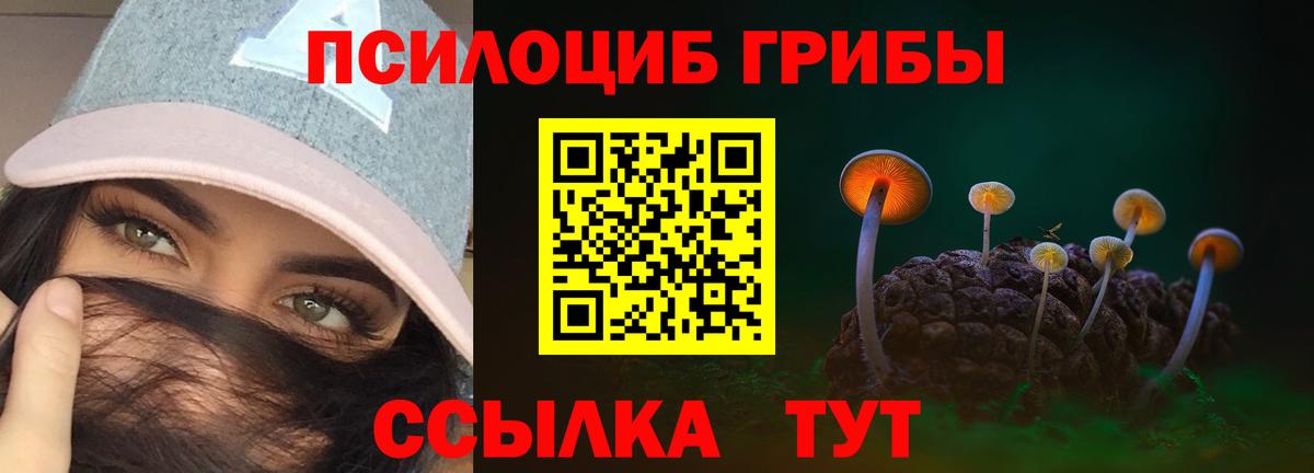 купить наркотик  Вход с VPN  Орехово-Зуево  Галлюциногенные грибы GOLDEN TEACHER 